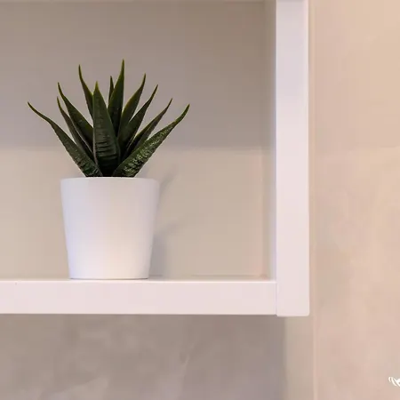 Gavioli - Invacanza Lägenhet